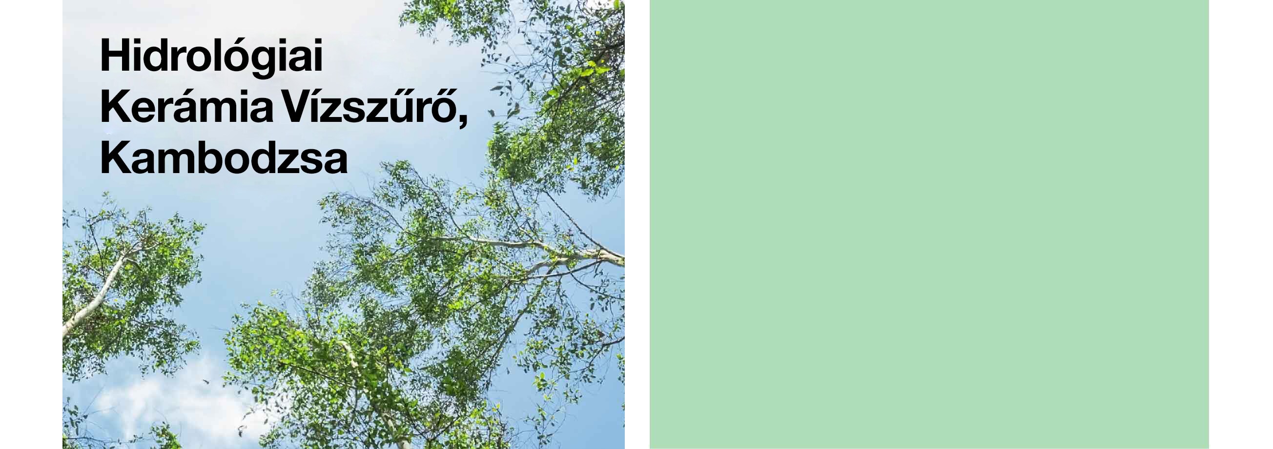 The Guanaré Forest Project, Uruguay
